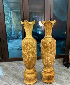 Lục Bình Nu Nghiến Cao 113 (cm)