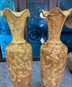 Lục Bình Nu Nghiến Cao 113 (cm)