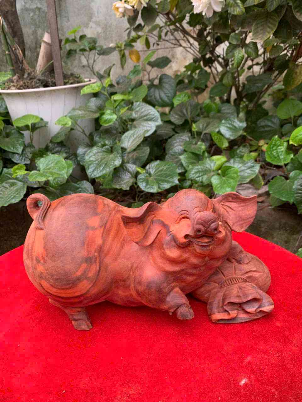 Tượng Heo Gỗ Tử Đàn Cao 15 (cm)